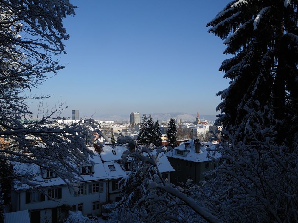 ./BaselStadt-2010-Bruderholz-Winter-Schnee-0150.JPG