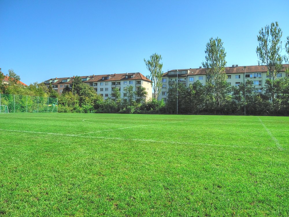 ./Basel-Landhof-Fussball-Feld-Wohnhaeuser-1010.jpg
