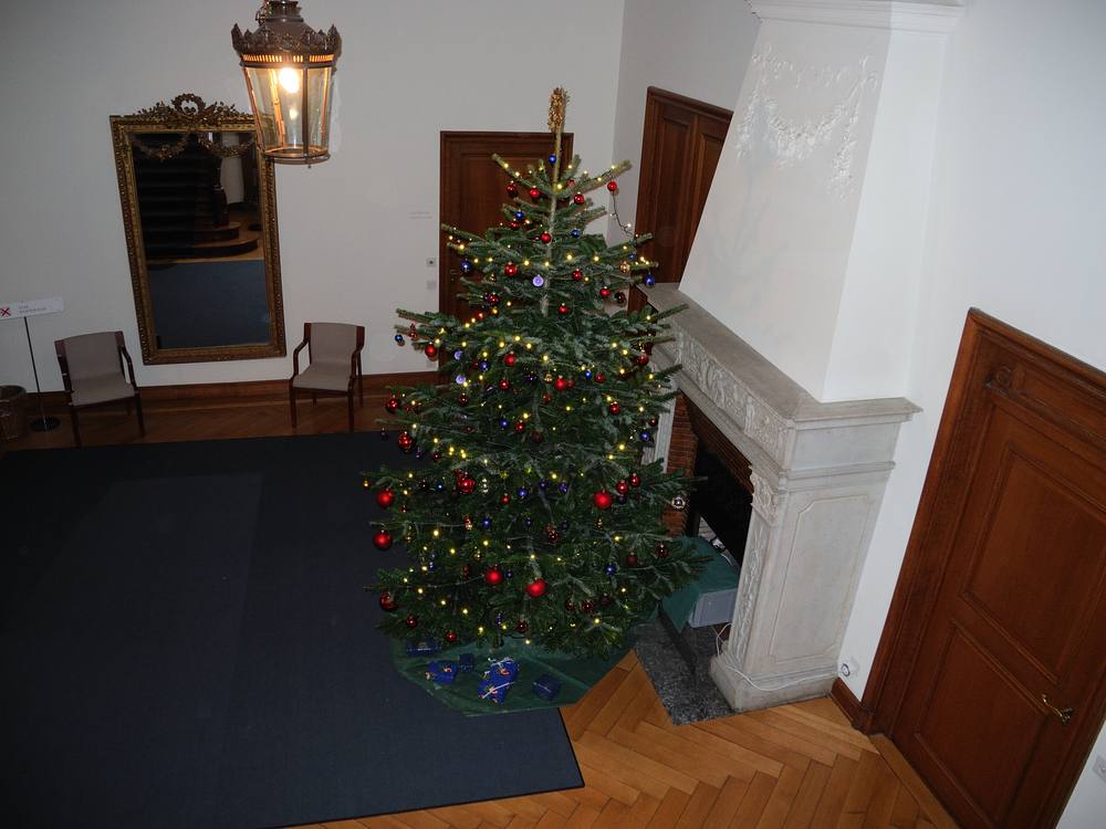 ./Basel-Standesamt-Weihnachten-Weihnachtsbaum-Christbaum-4000.jpg