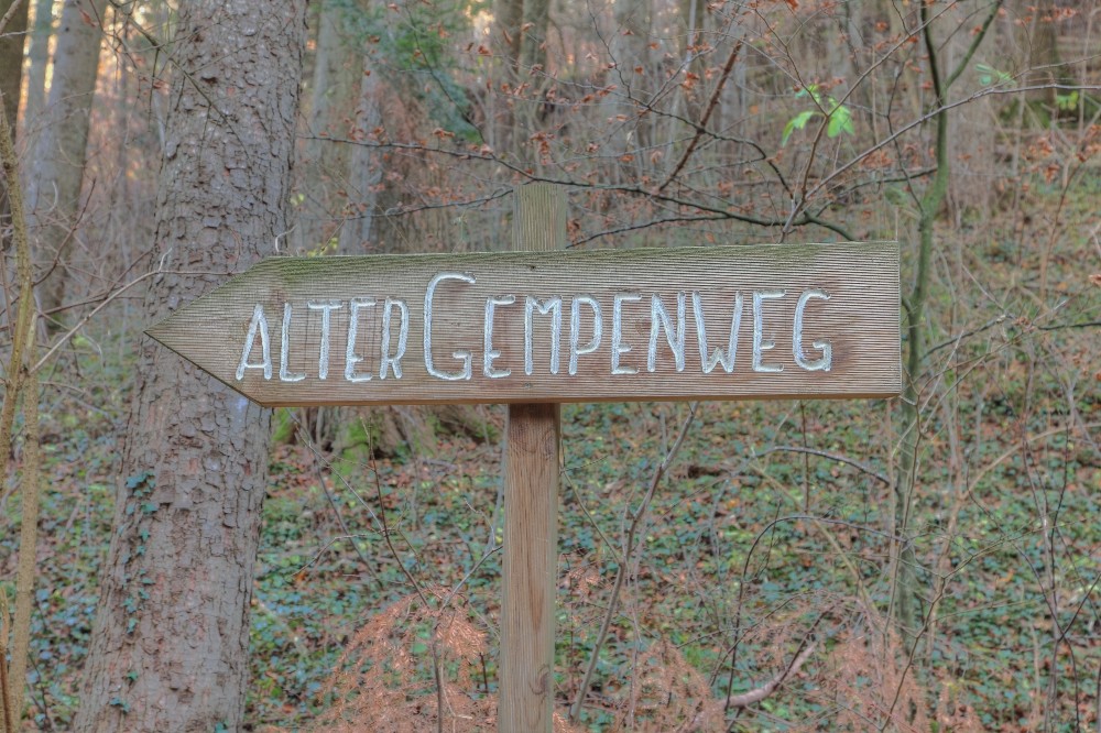./Herbst-Gempen-nach-Dornach-Wanderweg_Alter-Gempenweg-450.jpg