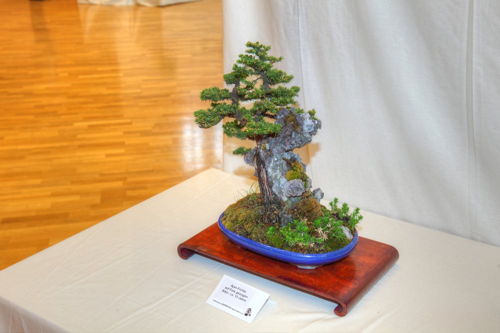 ./bonsai-ausstellung-pratteln--0391.jpg